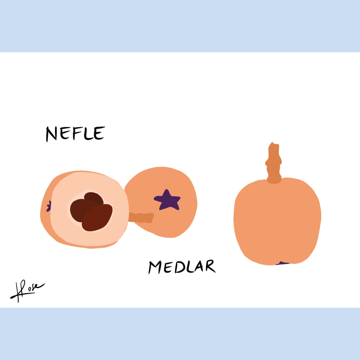 Carte postale faniPhabet "Nèfle"