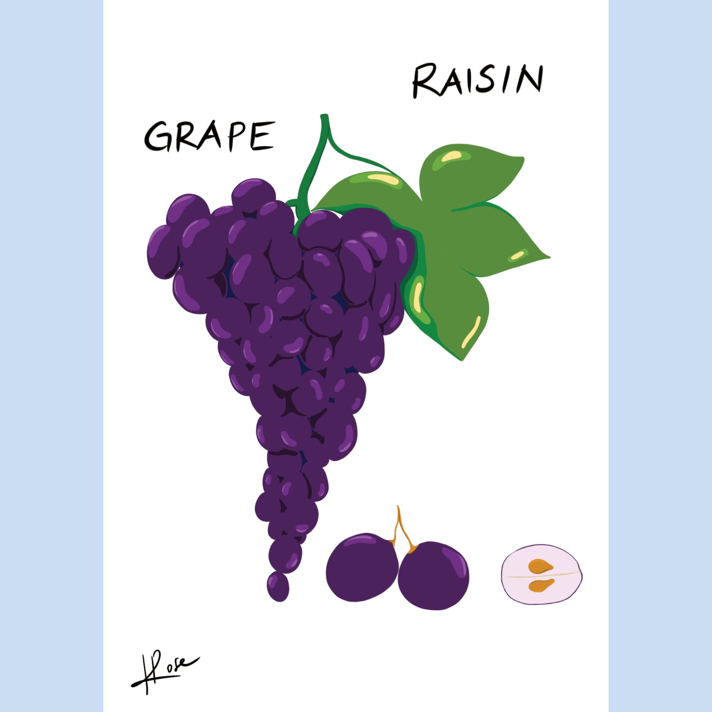 Carte postale faniPhabet "Raisin"