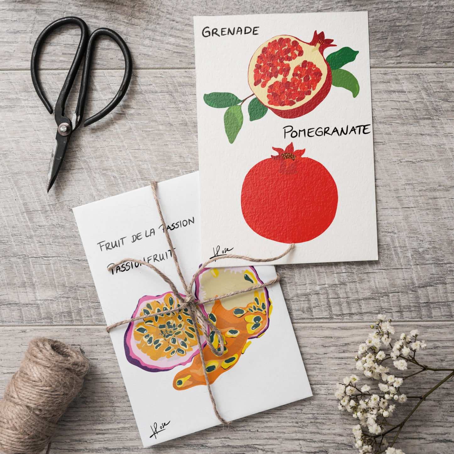 Carte postale faniPhabet "Grenade"