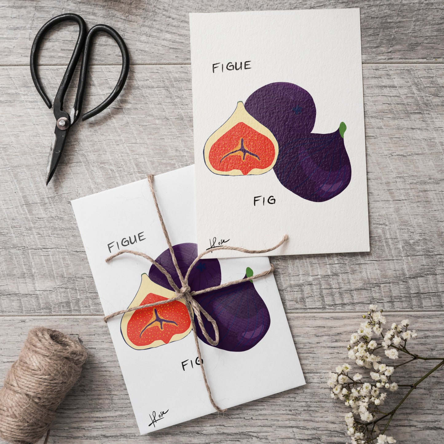 Carte postale faniPhabet "Figue"
