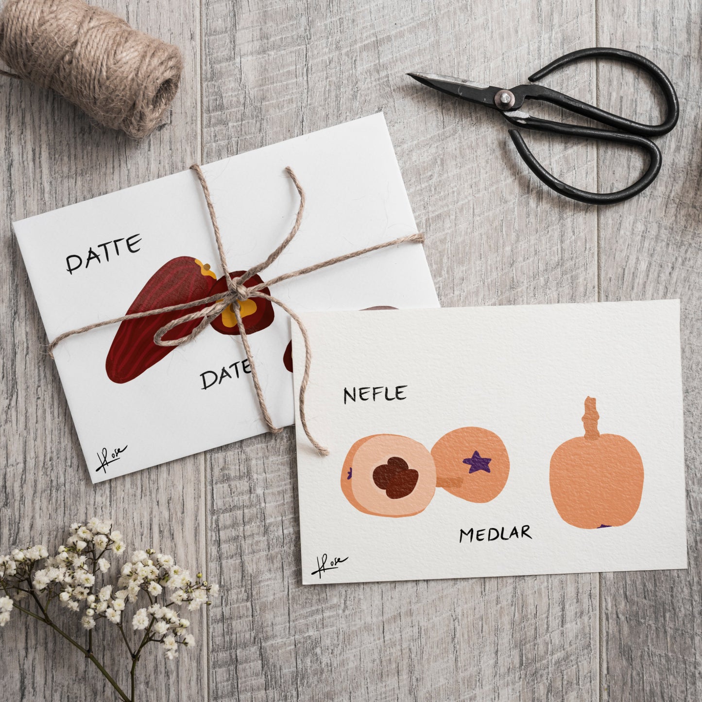 Carte postale faniPhabet "Nèfle"