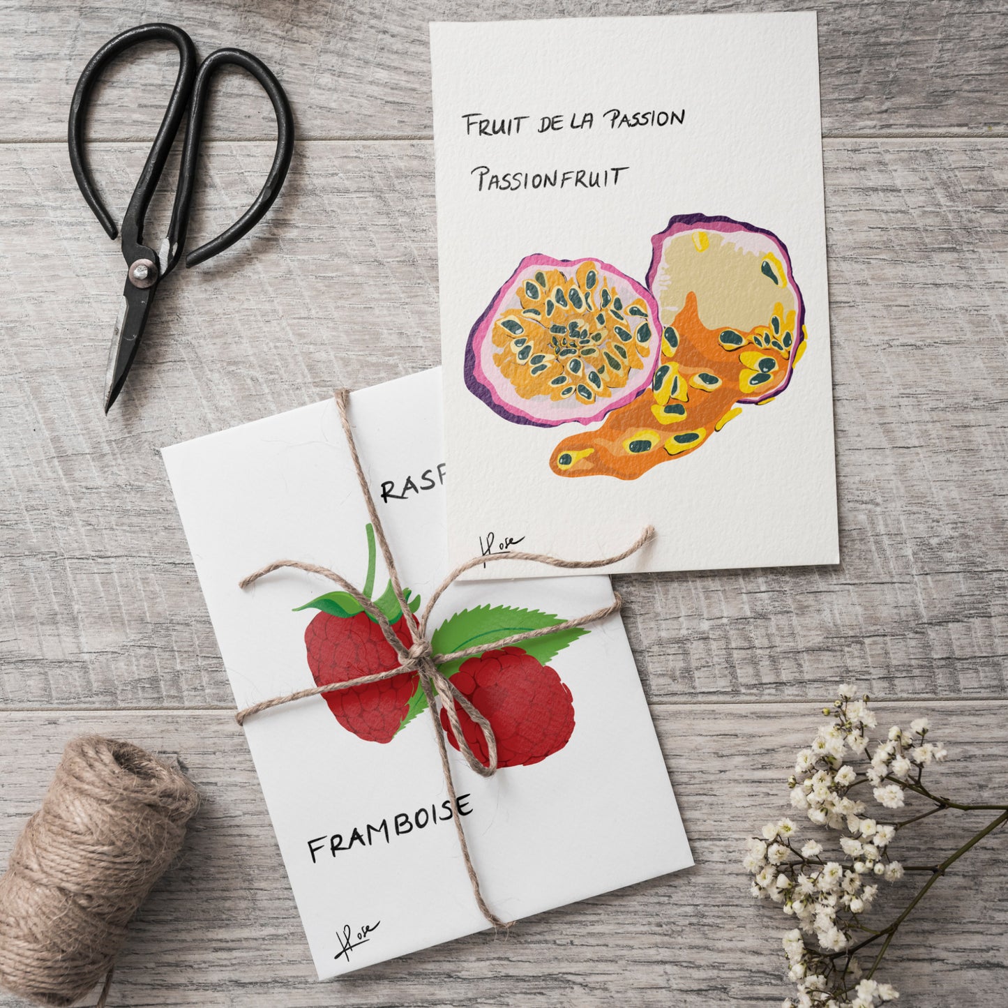 Carte postale faniPhabet "Fruit de la passion"