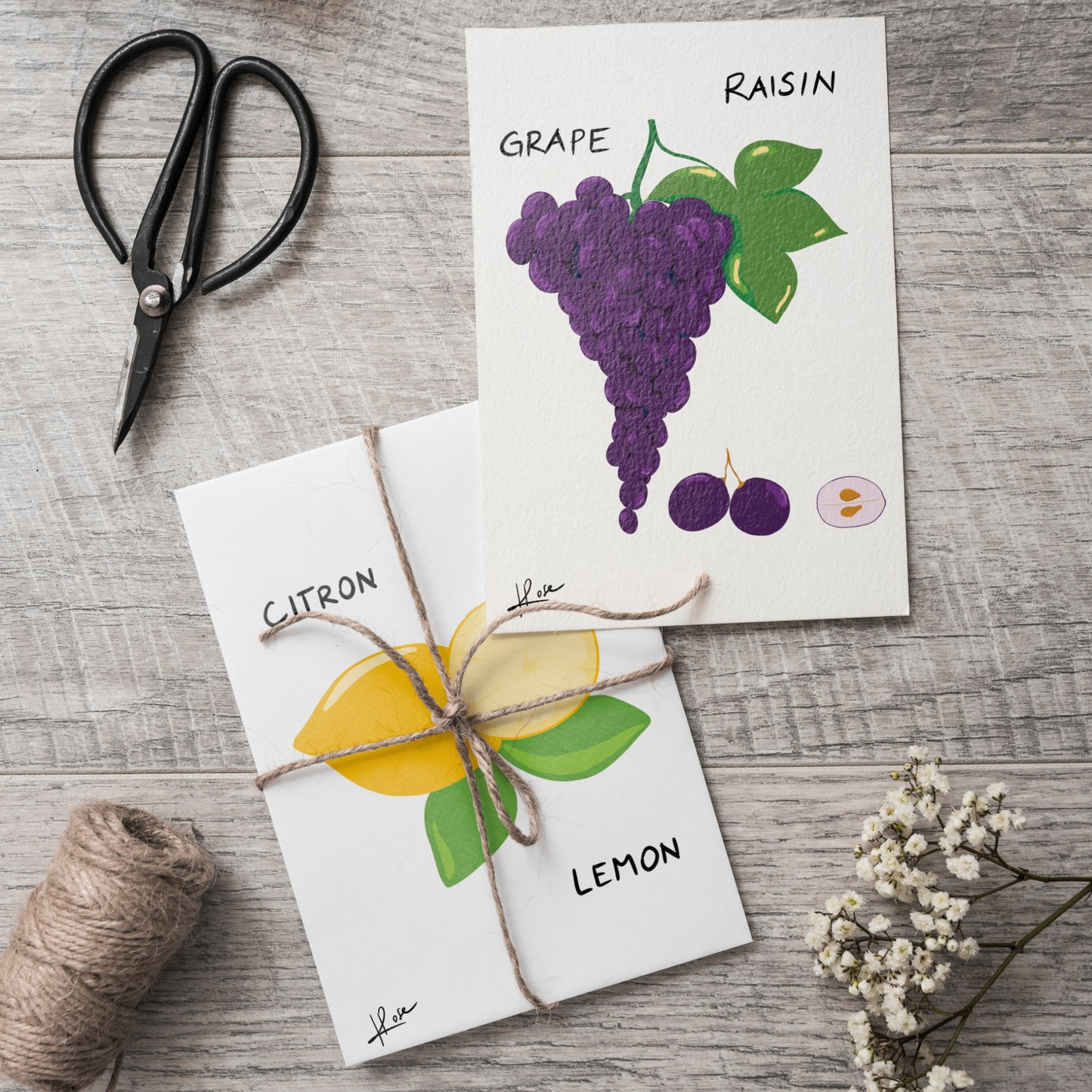 Carte postale faniPhabet "Raisin"