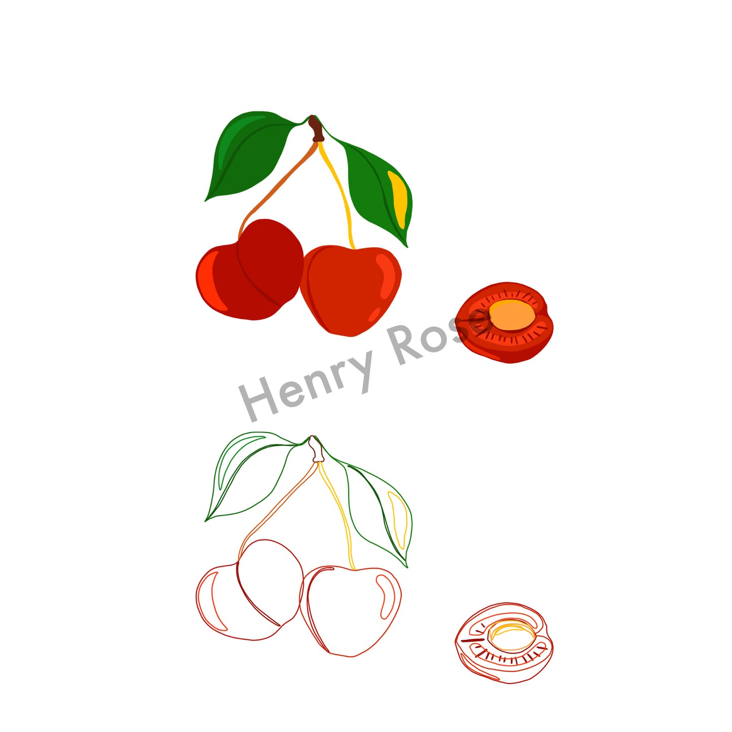 Illustration "Fruits & Légumes" - Cerise Duo