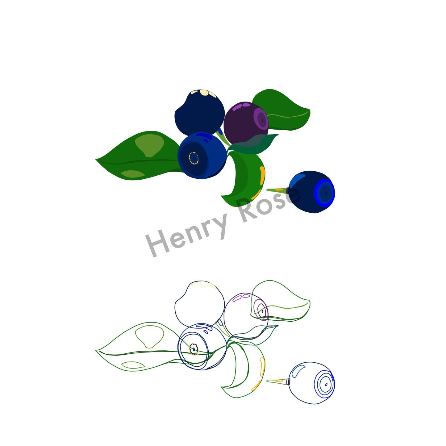 Illustration "Fruits & Légumes" - Myrtille Duo