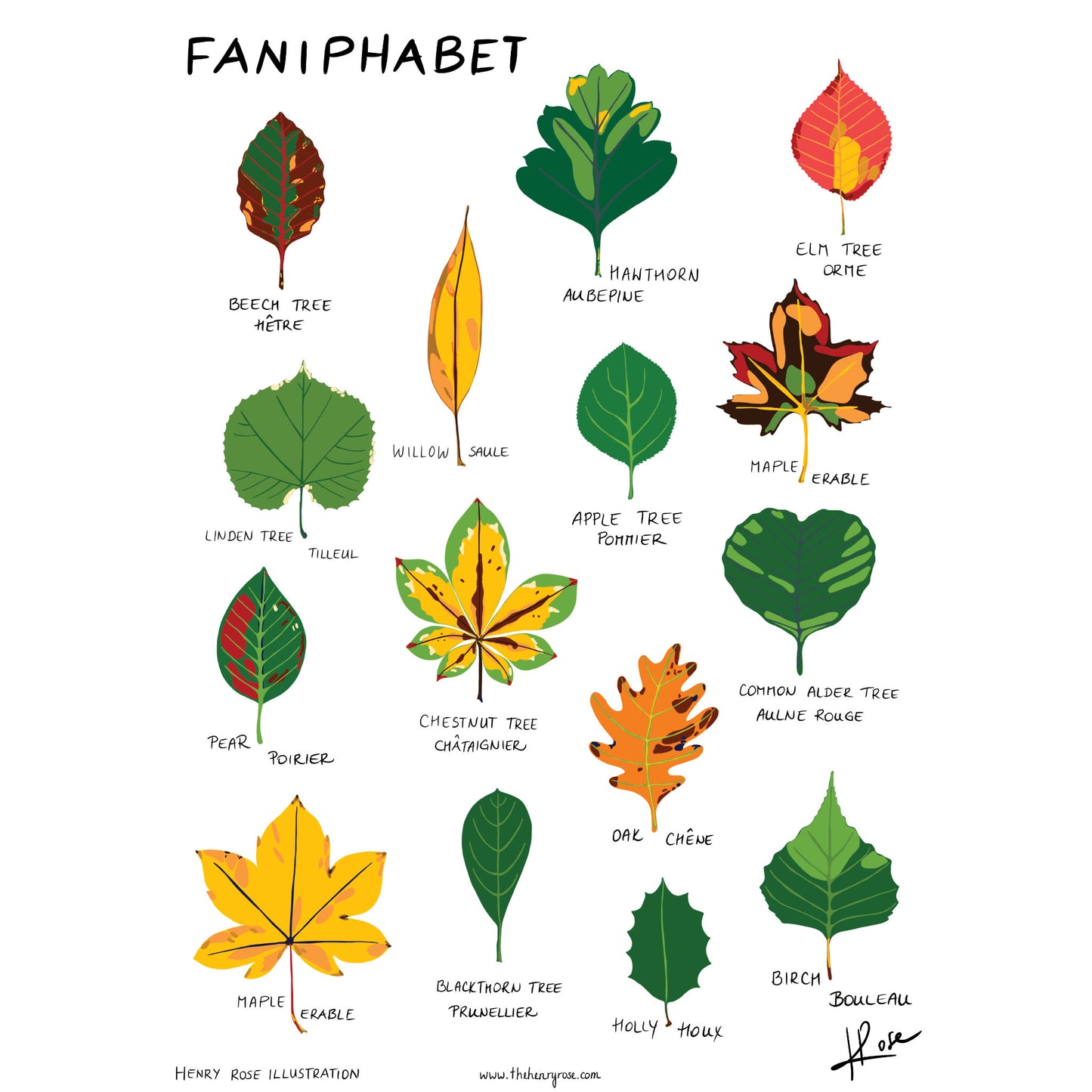 Illustration faniPhabet "Leaves"