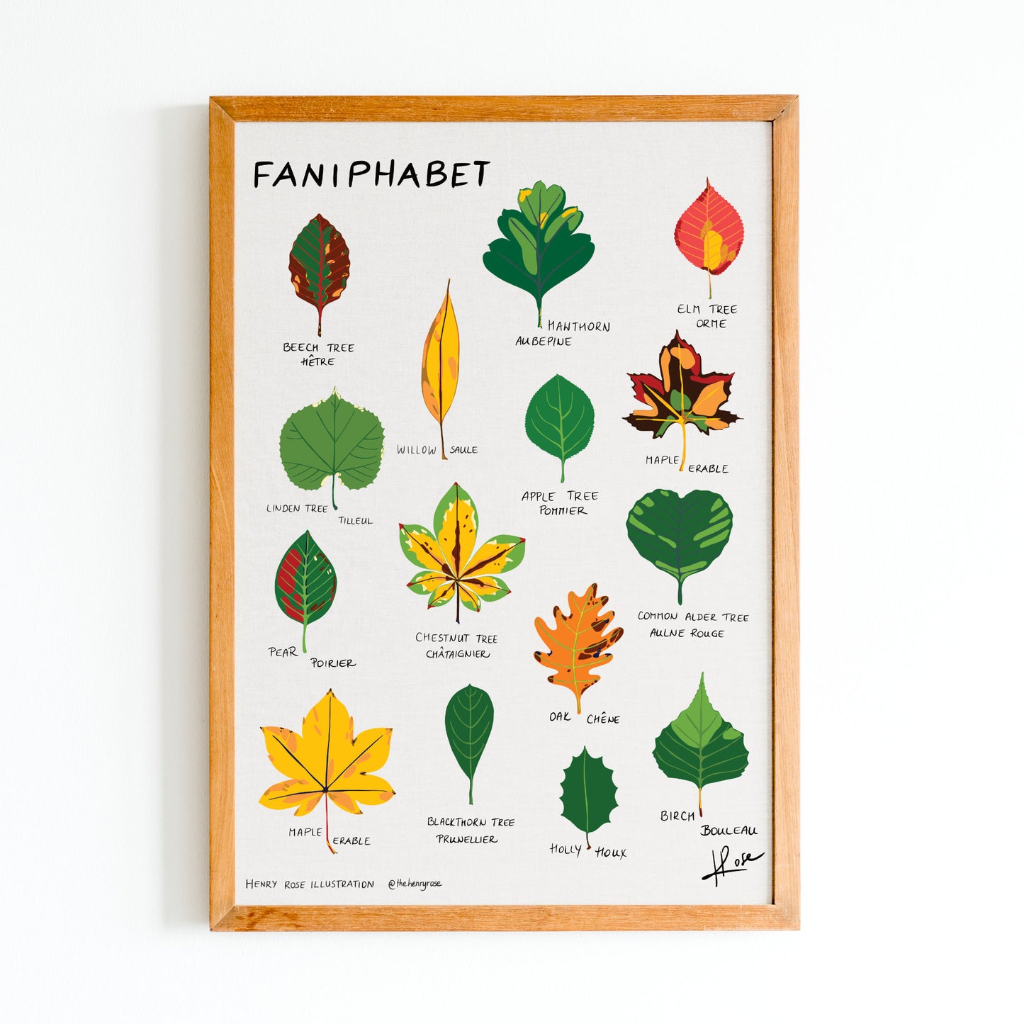 Illustration faniPhabet "Leaves"