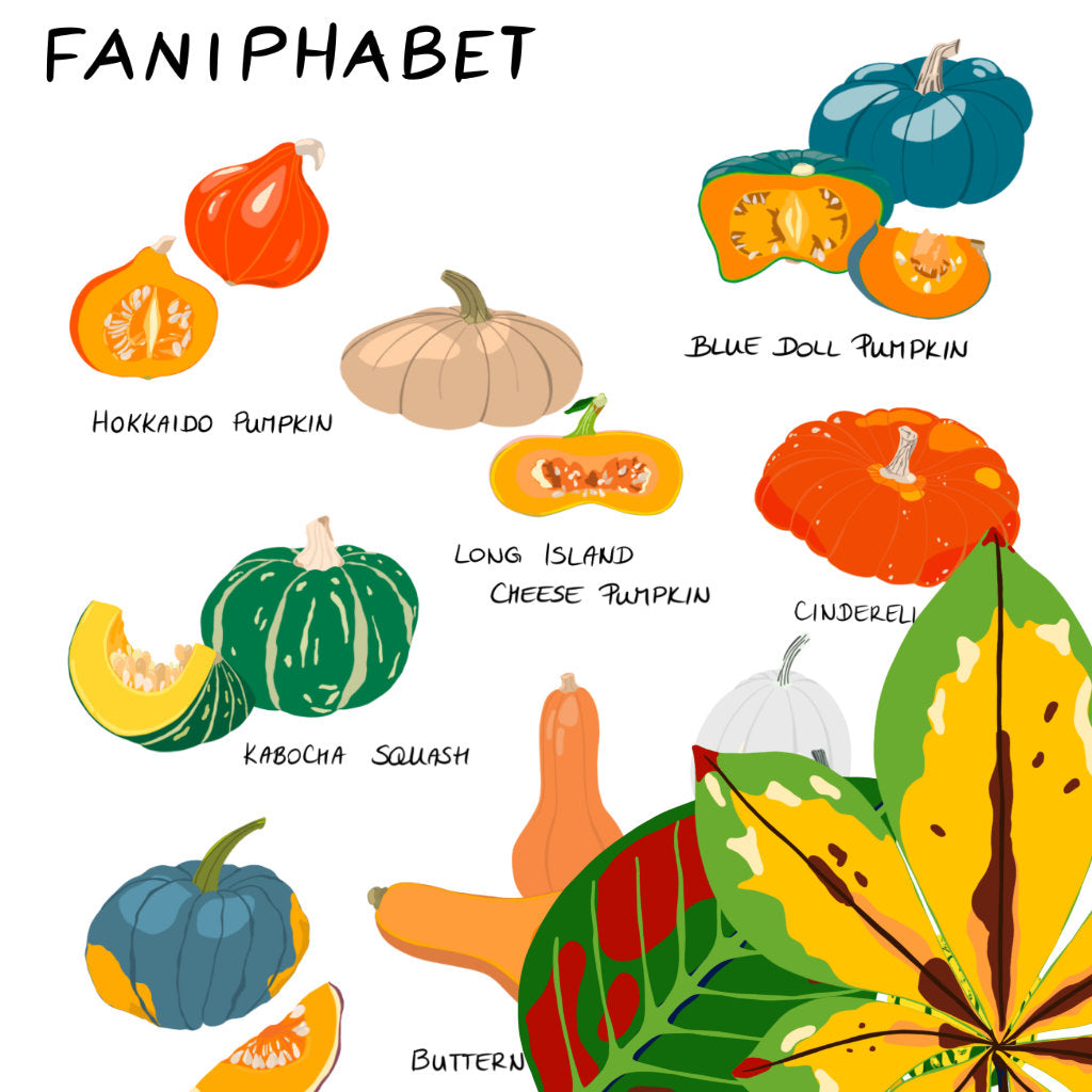Illustrations faniPhabet