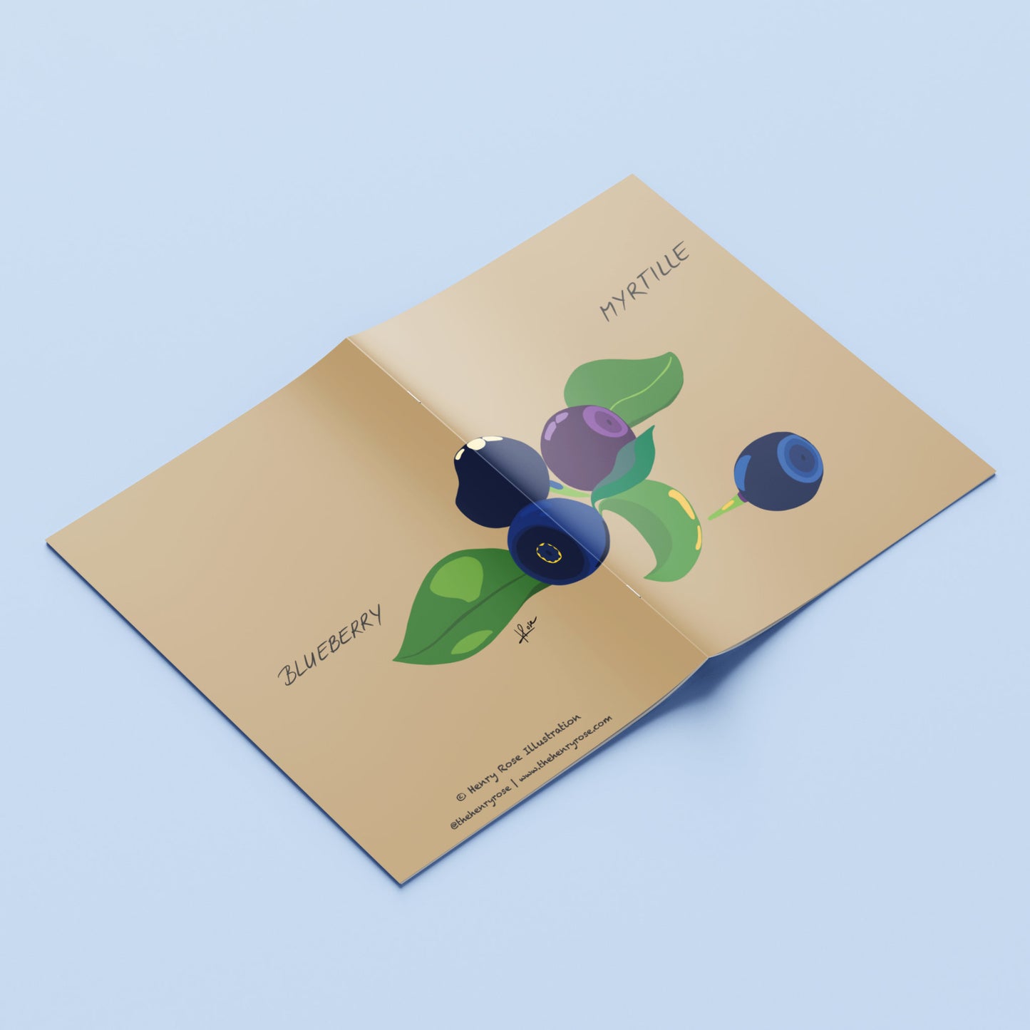 Carnet A6 "faniPhabet" Myrtille - Blueberry