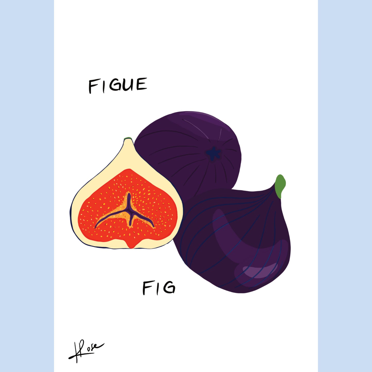 Carte postale faniPhabet "Figue"