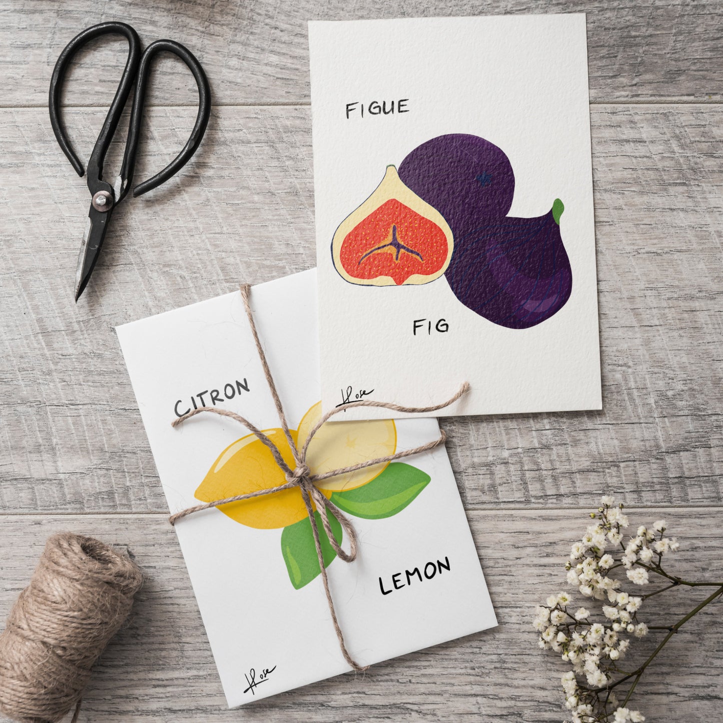 Carte postale faniPhabet "Figue"