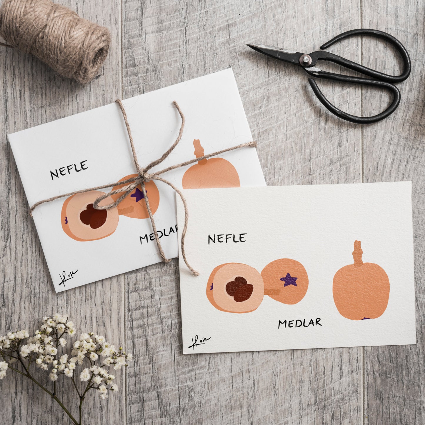 Carte postale faniPhabet "Nèfle"
