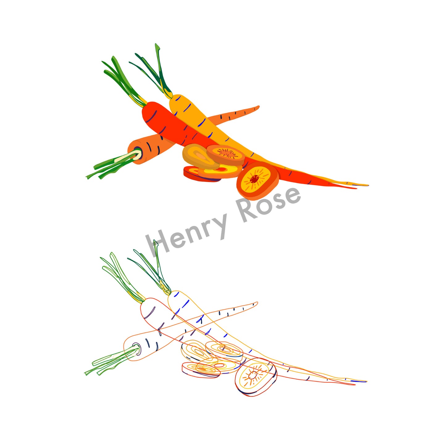 Illustration "Fruits & Légumes" - Carotte Duo