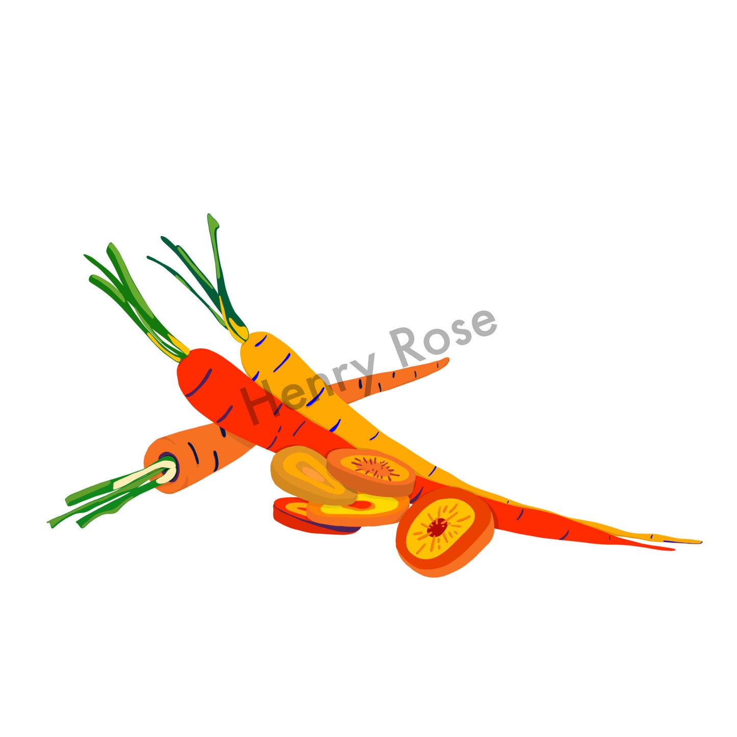 Illustration "Fruits & Légumes" - Carotte