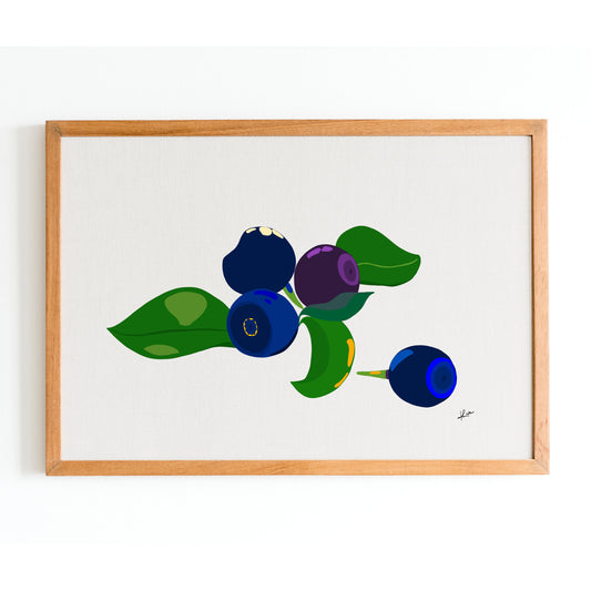 Illustration "Fruits & Légumes" - Myrtille